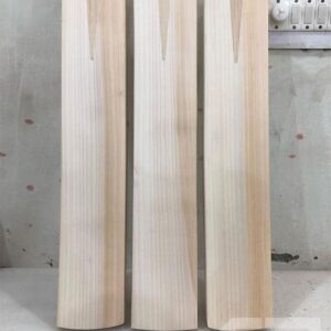 Vizard Cricket bat