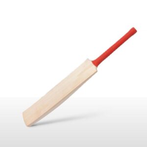 Vizard Bats 11